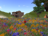 Flower Garden Particles Emitter 042410_003